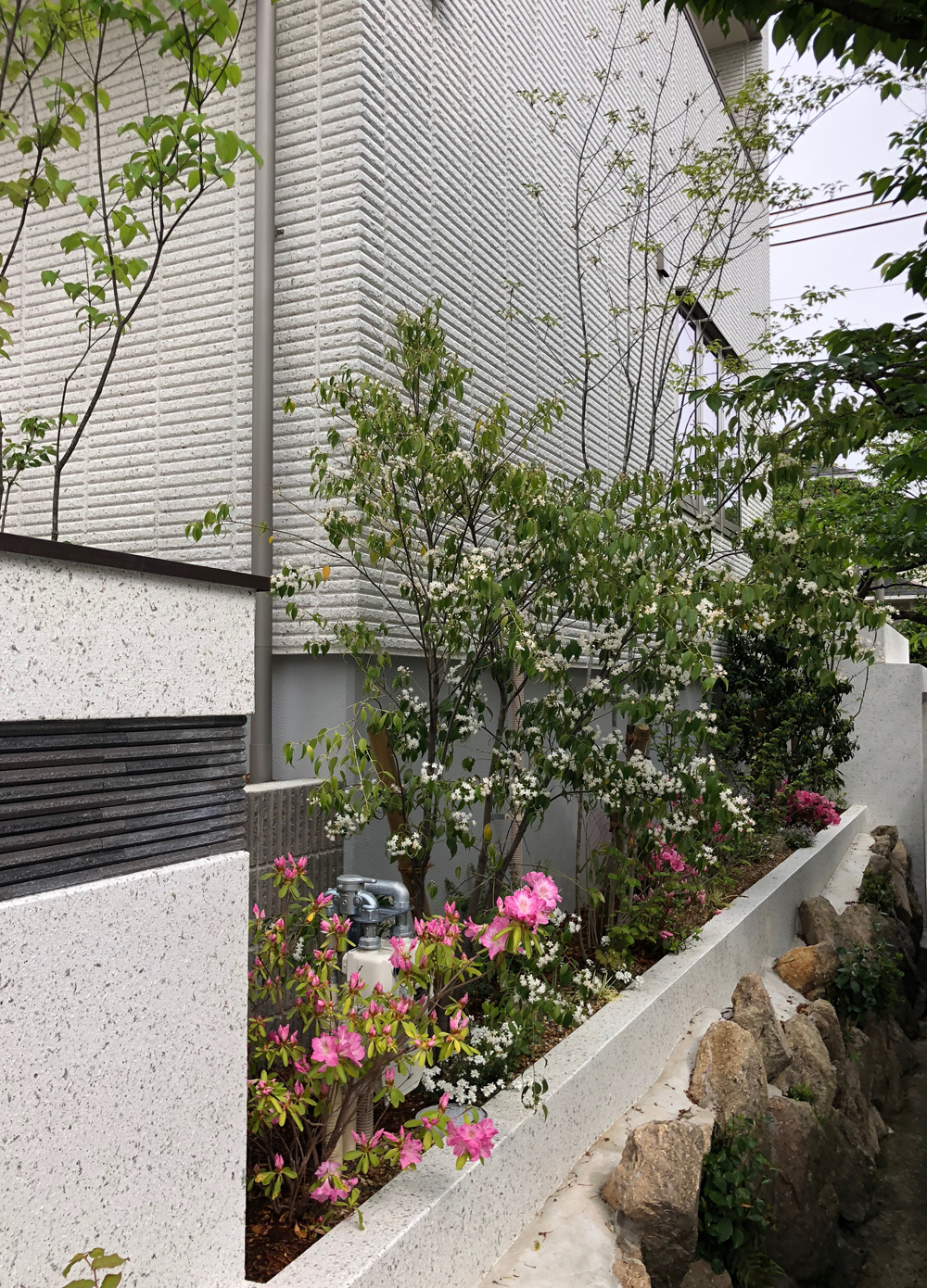 プライベートな内庭と 桜木陰の前庭 山中育樹園